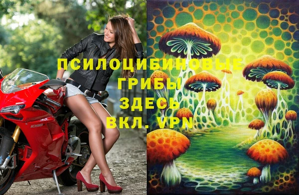 соль ск Алексин
